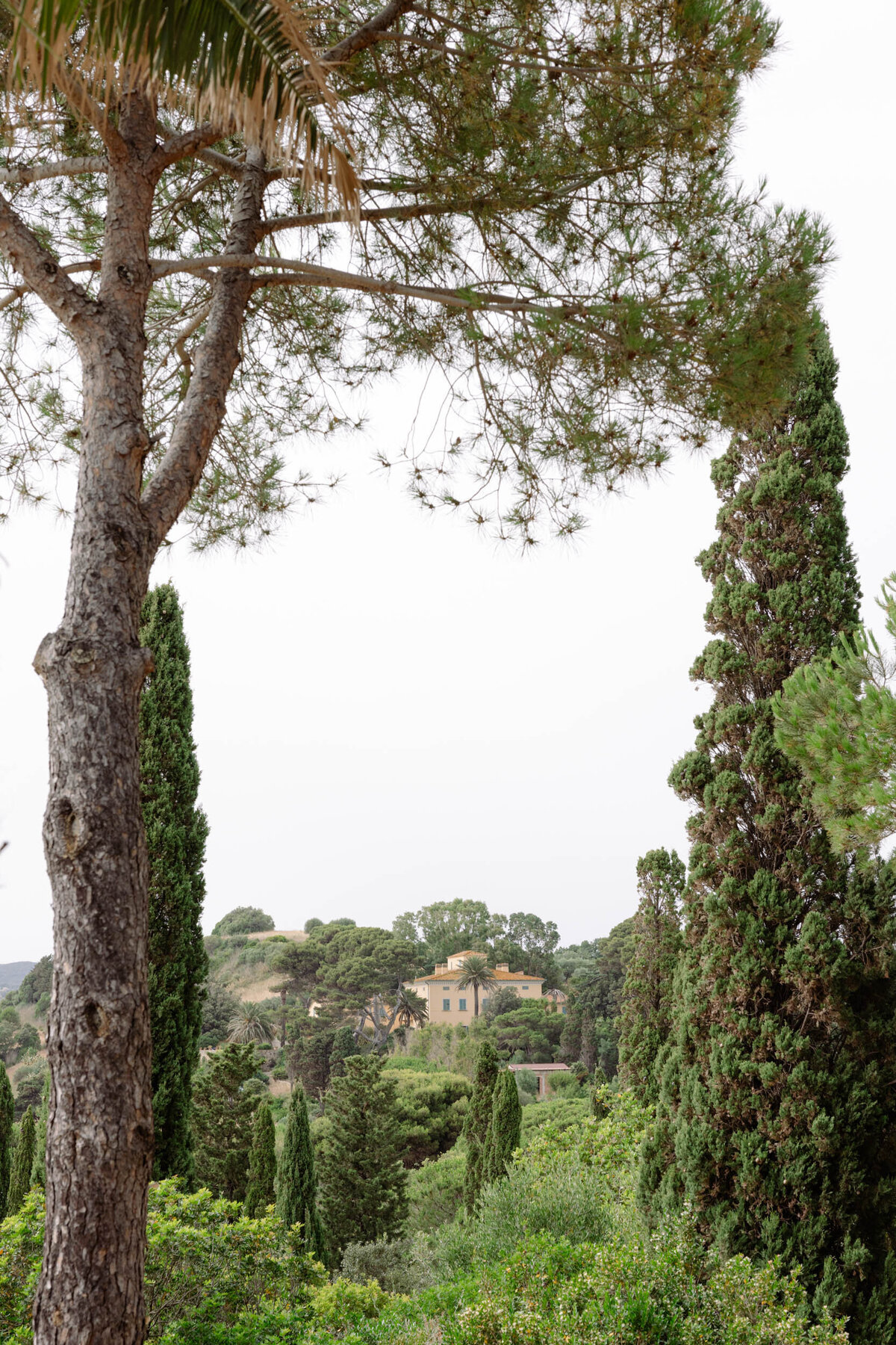 Villa Talamo - Tuscany Wedding  (48 von 98)