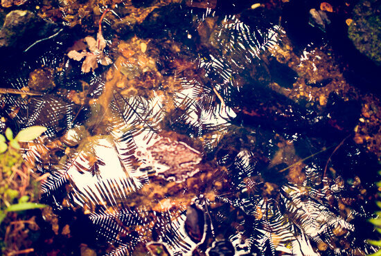 45666-8408379-jacqueline_campbell_travel_63_jpg1