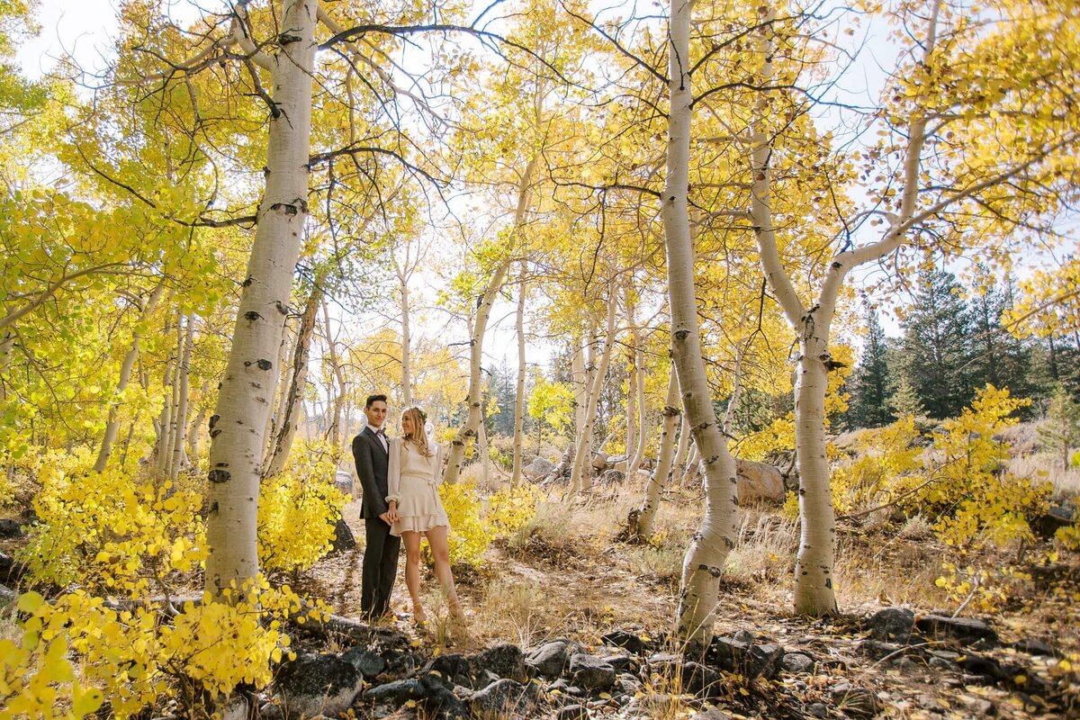 couple standing in aspen grove