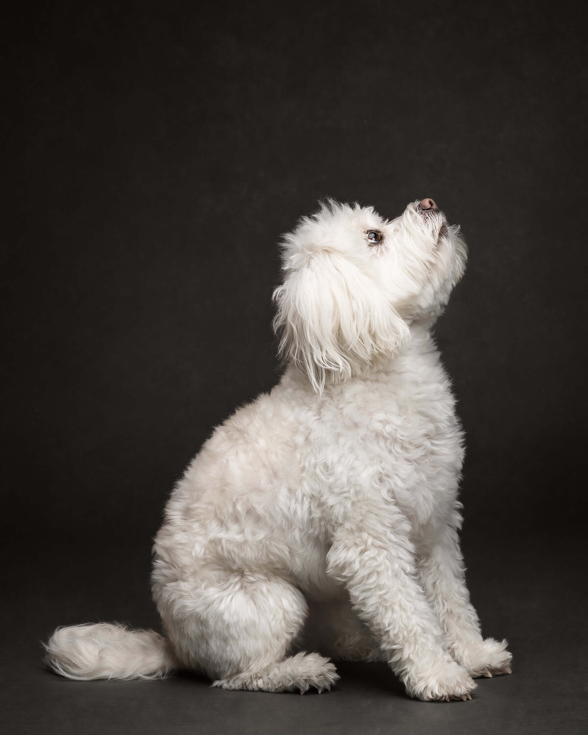 02.21.2025 Frida+Nika-299-Edit