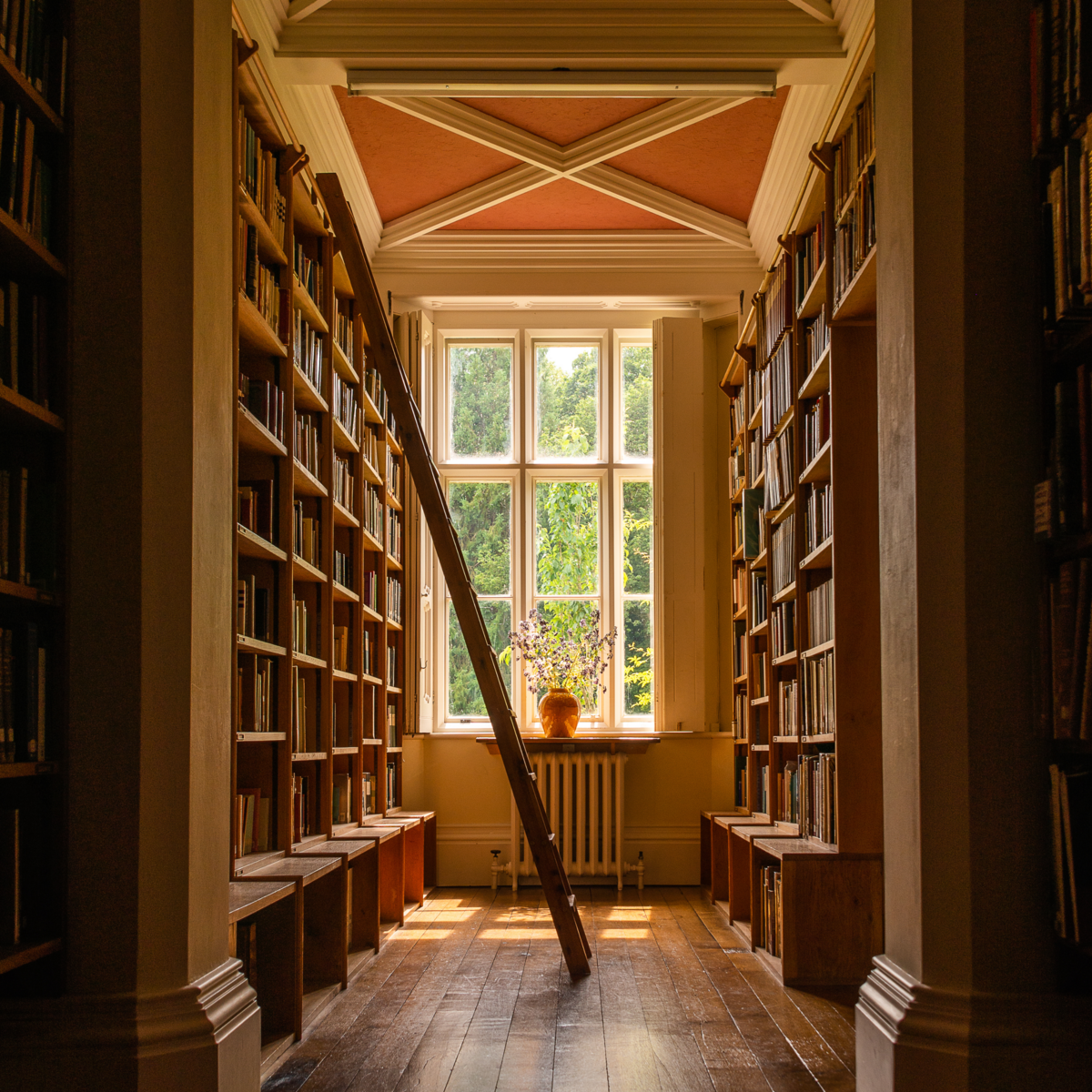 library  (5 x 5 in)