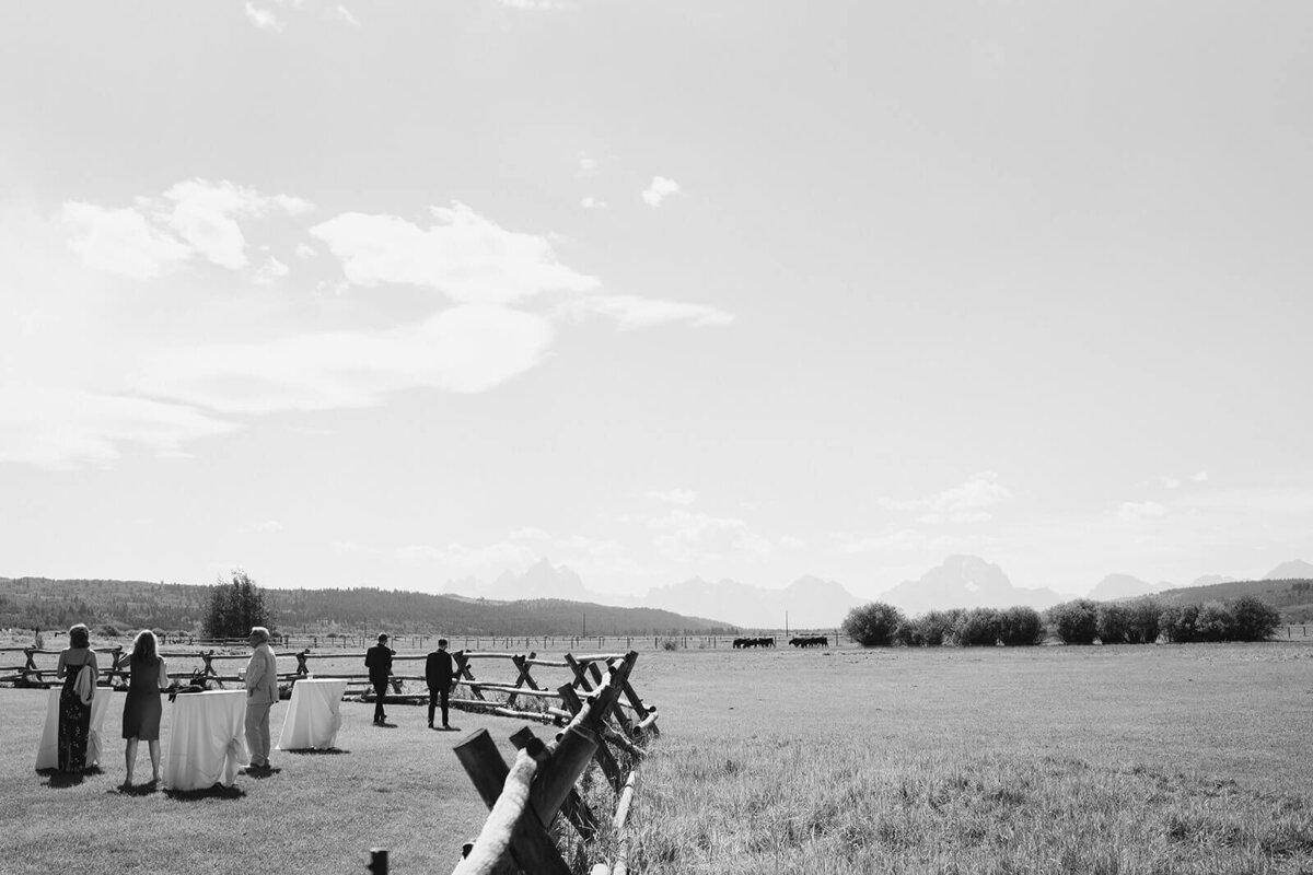 DSC00280-Copy1
