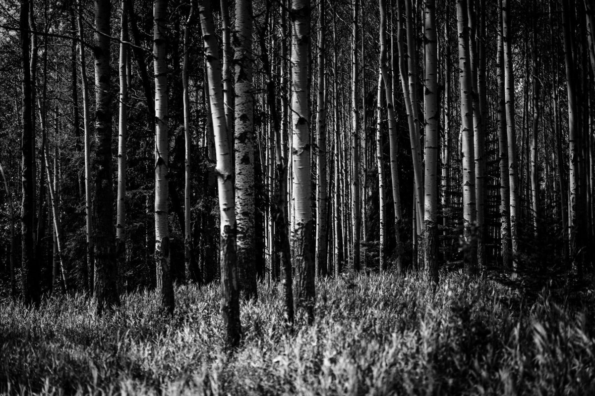 travel-photography-072