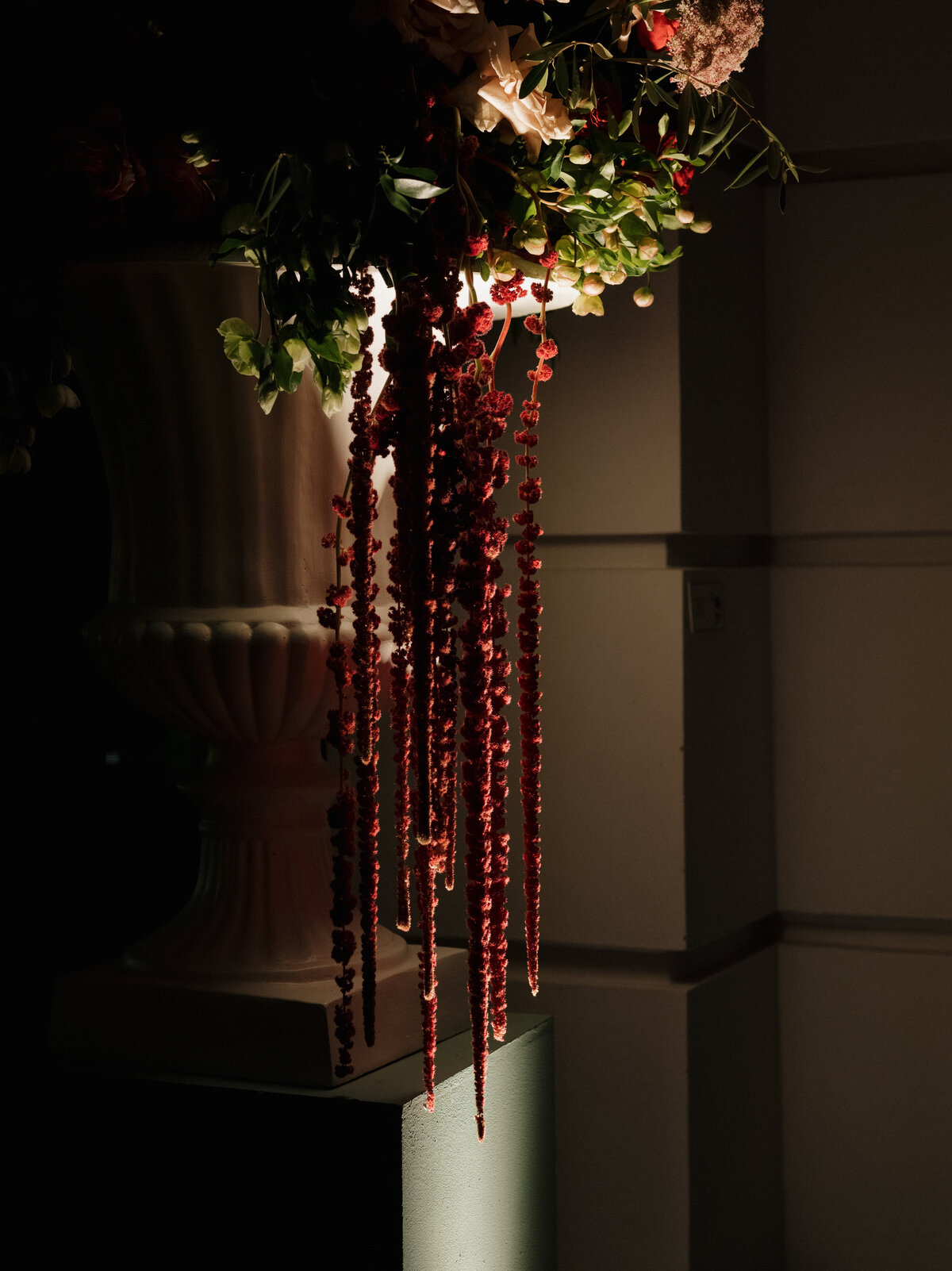 250524JORTAY_adv0185