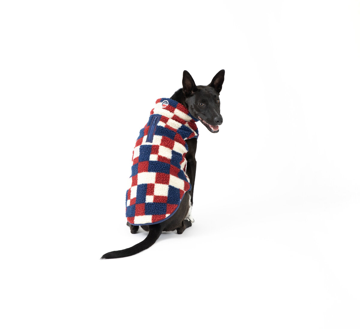cute pet products