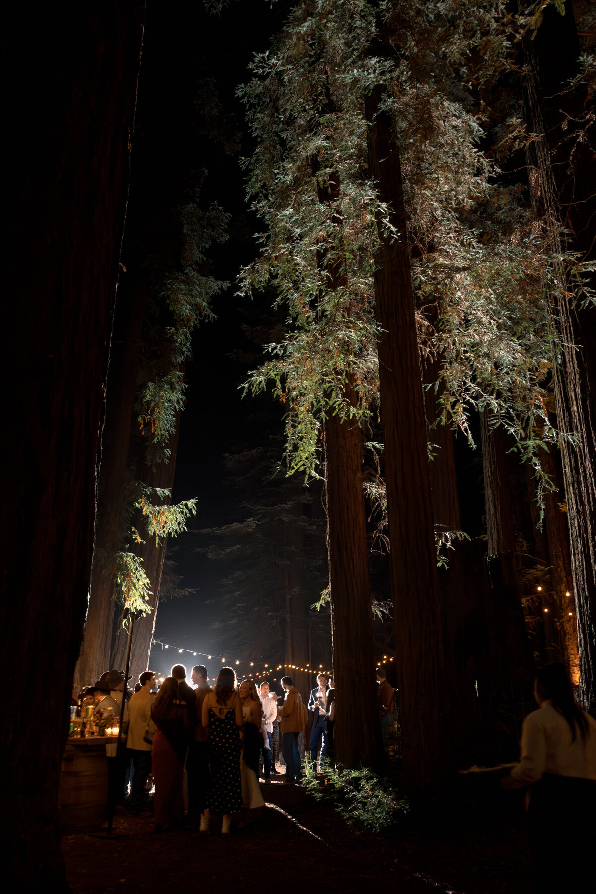 DT-2025-Celine & Gabe Highlights-156