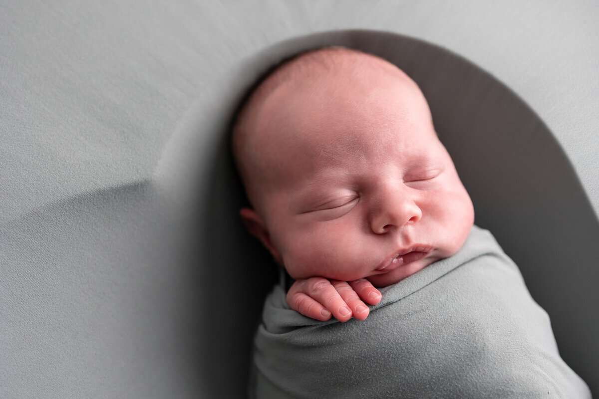 posed newborn baby boy