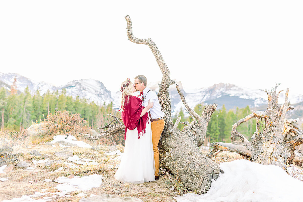 bride and groom kissing while leaning against an old tree with mountains in the background in rocky mountain national park by a wedding photographer in Colorado