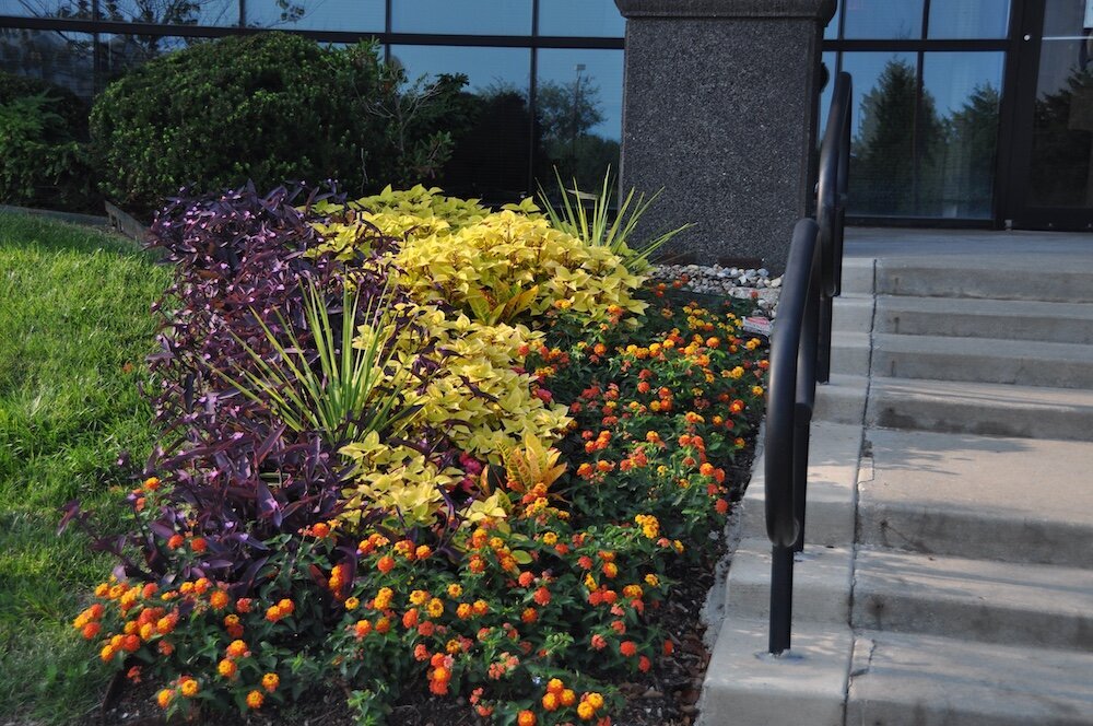 Commercial landscape company project in Kansas City