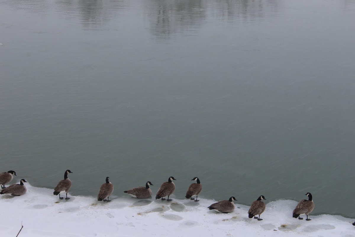 Wade_Muir_Photography_Places-36