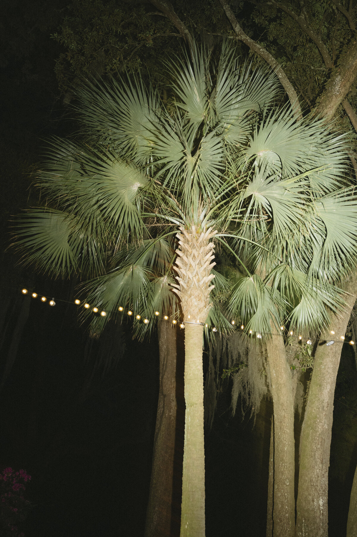 ashleecphotography-319