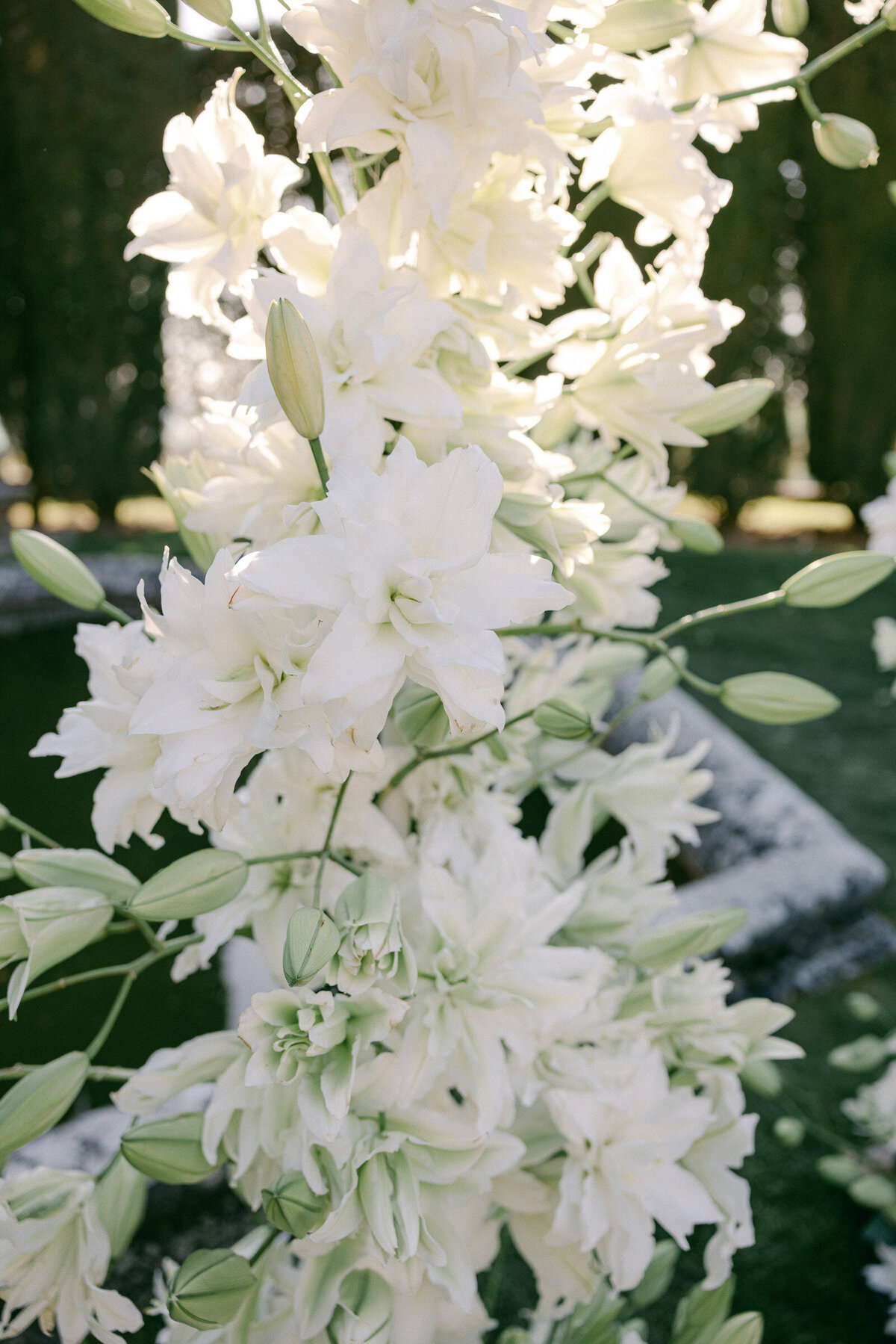 wedding  photoshoot La Foce Villa Tuscany 32