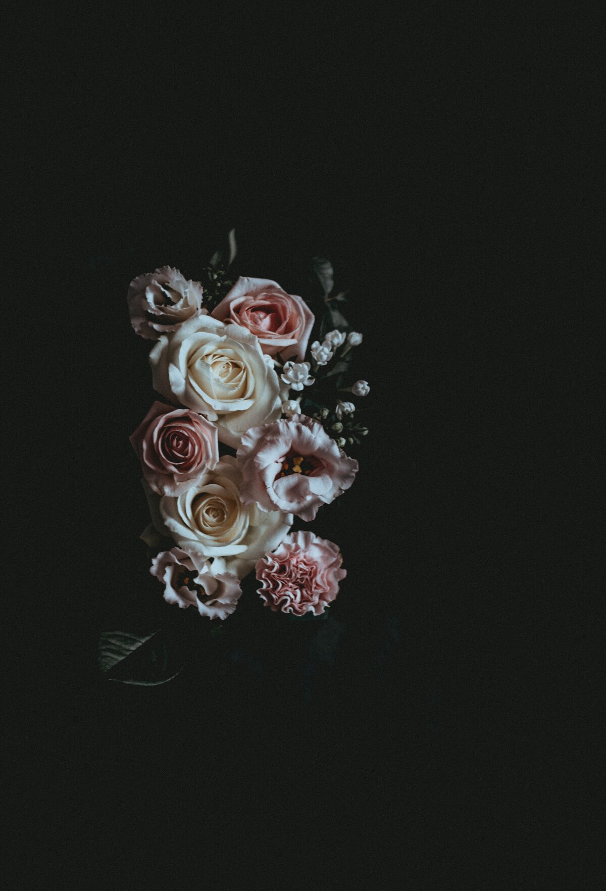 annie-spratt--JOw_8WF6Dg-unsplash