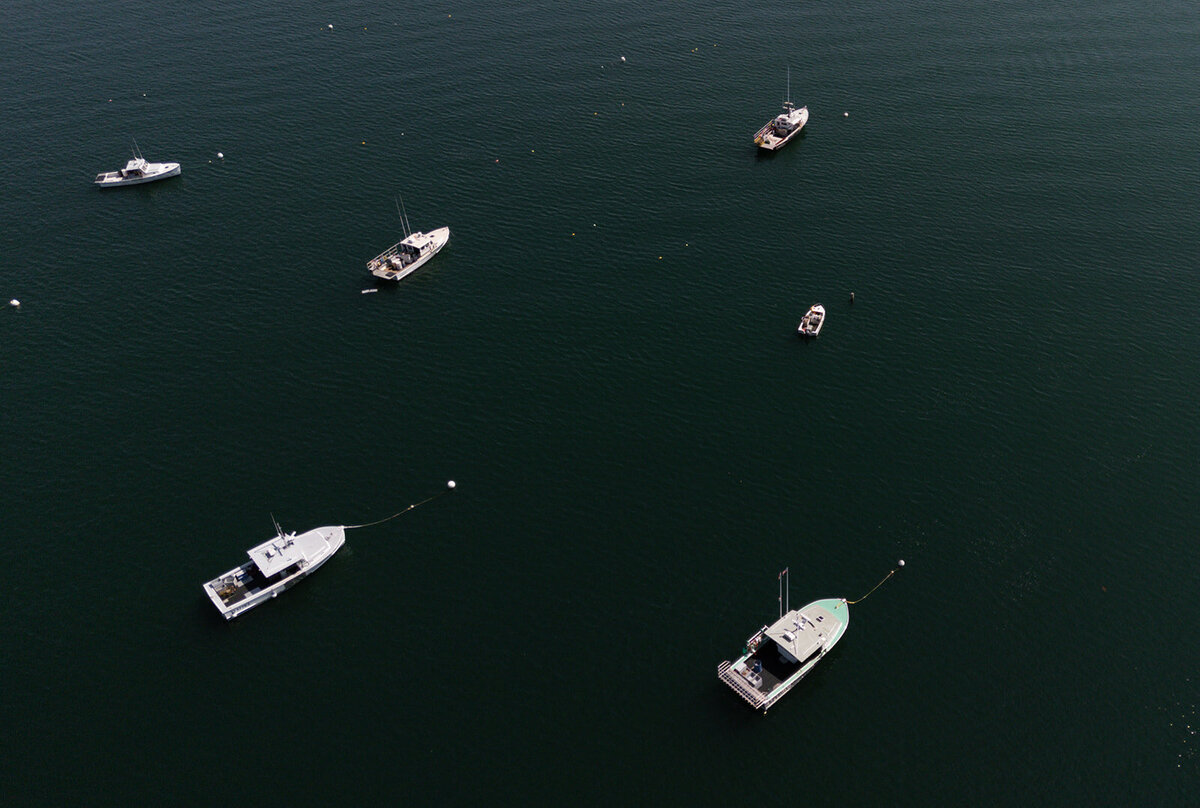 DJI_20240824114434_0061_D