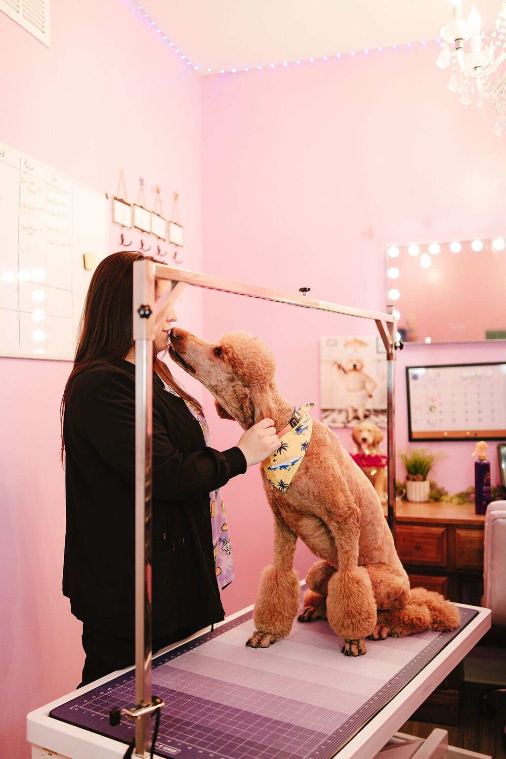 05.14hillfamilypetcare-77