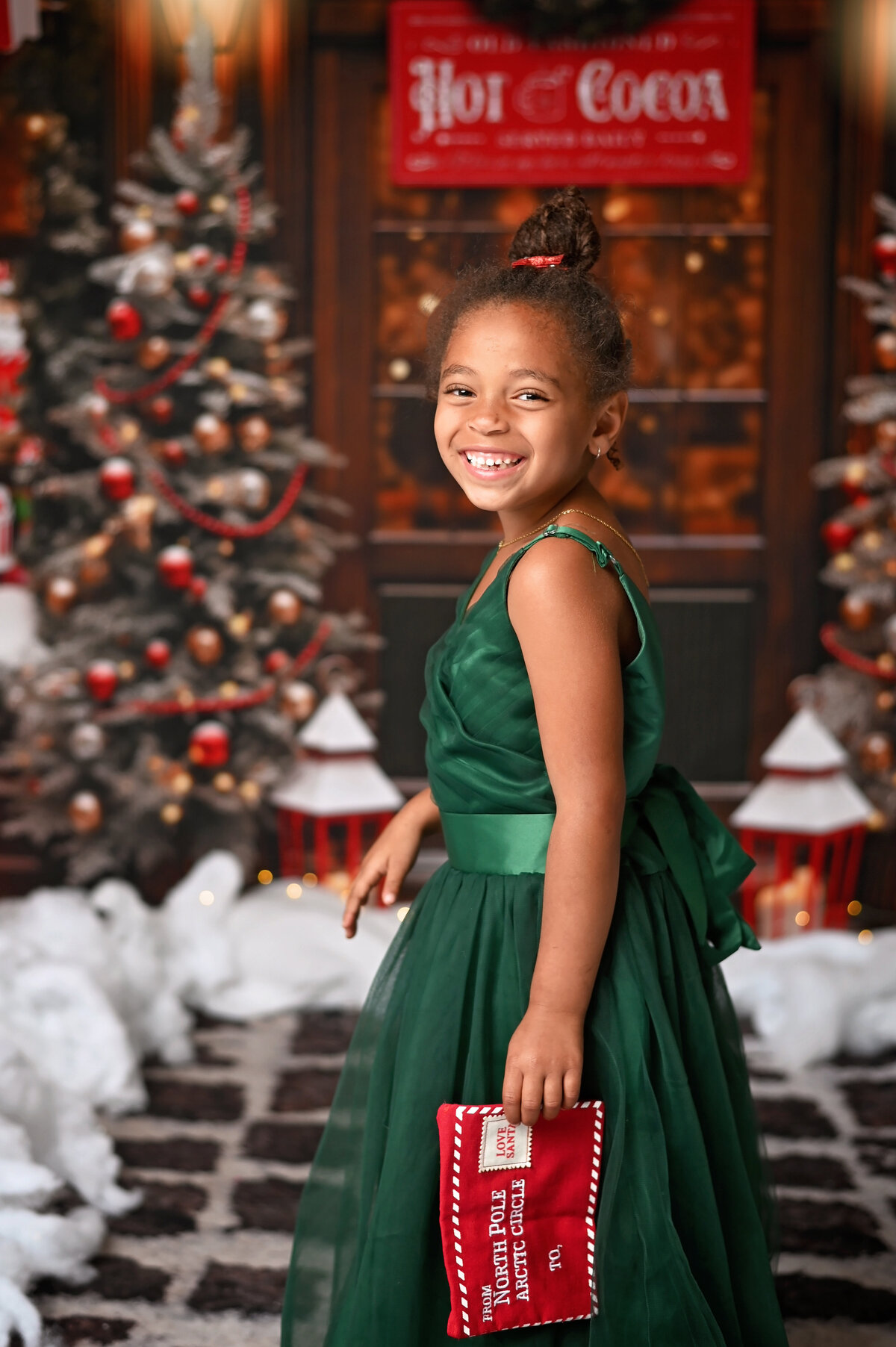 The Santa Expereince- Jevonna Wynter Photography1