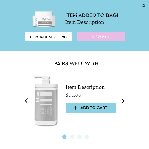 1 Bag_Rebuy Design Brief_Bliss Widget