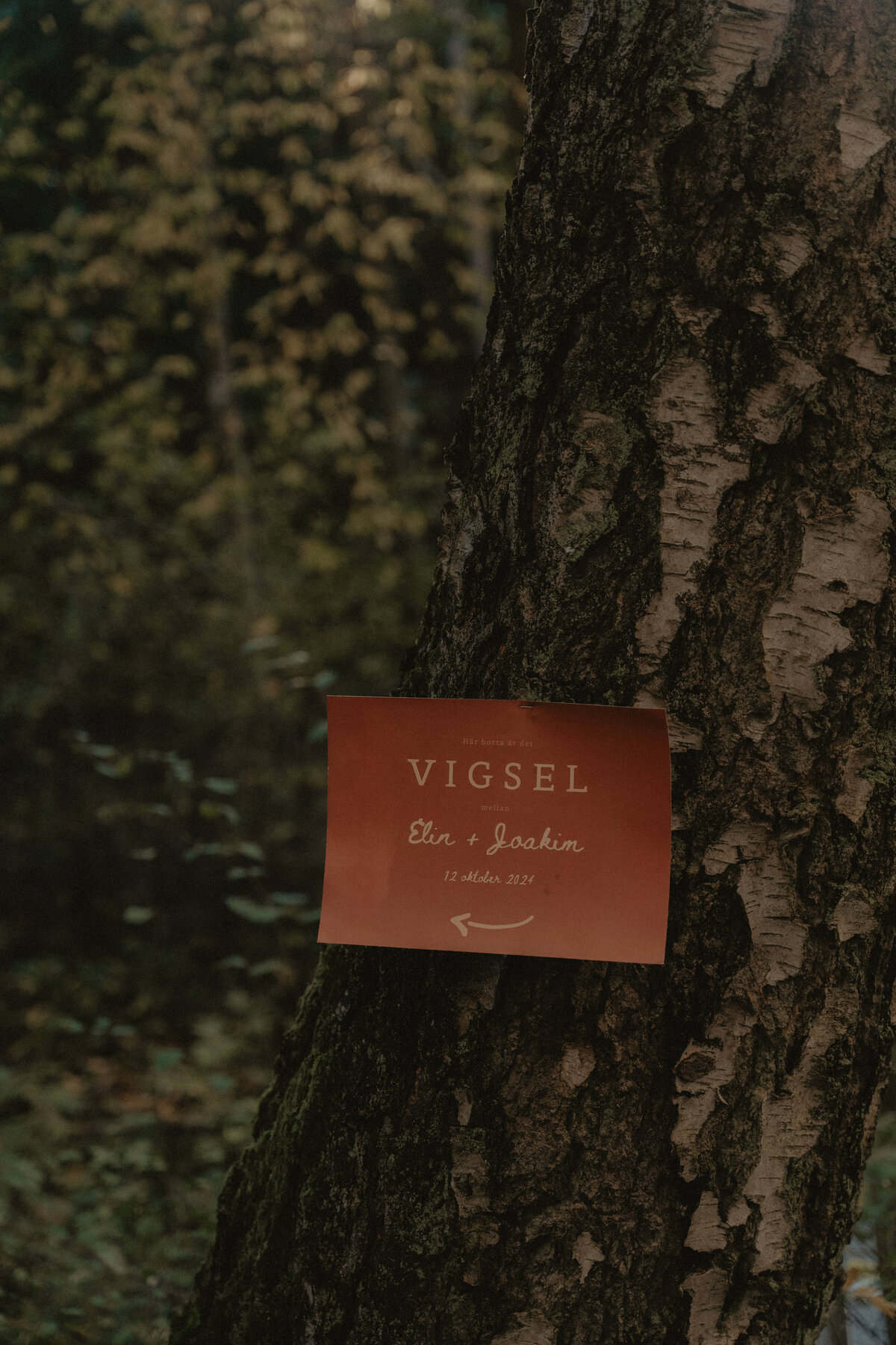 ElinJoakim-12okt2024-259