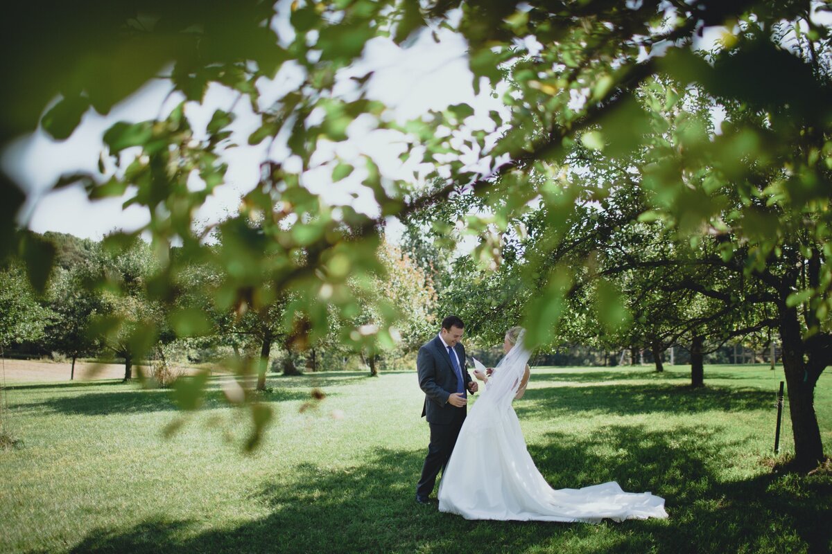 WisconsinLakeAppleOrchardWedding16