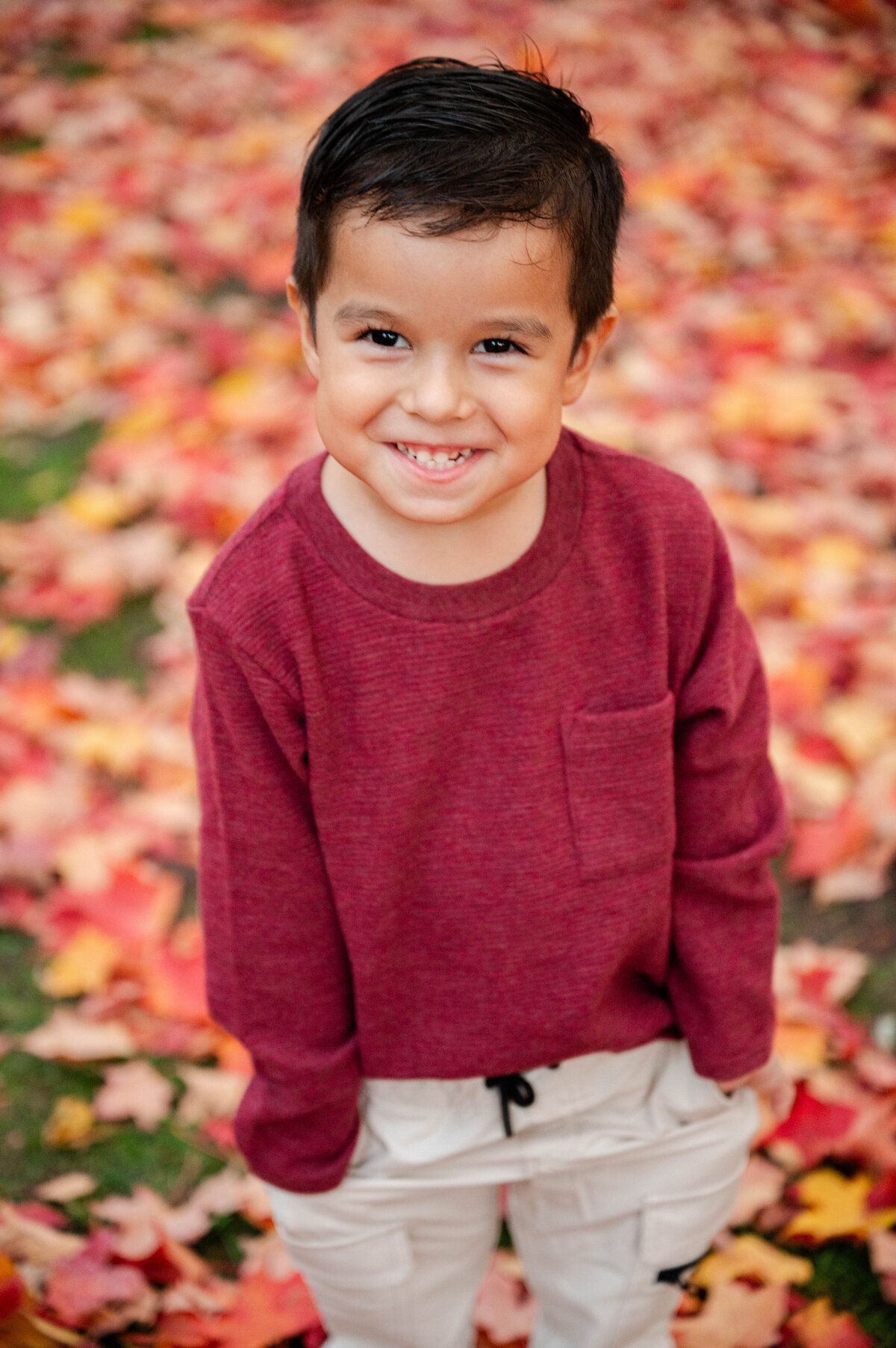 Naperville Family Photographer-15