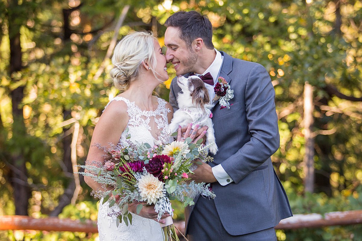 newlyweds kissing while dog looks at them