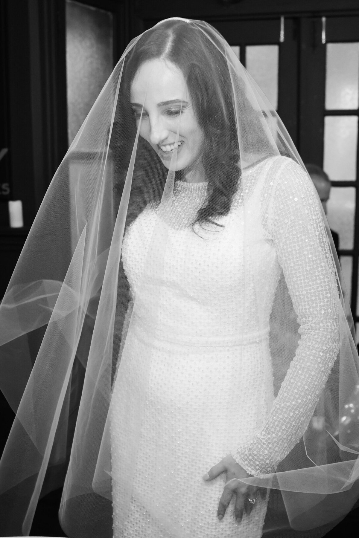 bride-wedding-veil-pictures