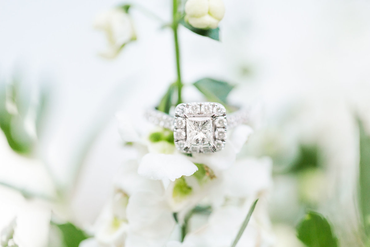 Damascus&AbingdonEngagementSession-72
