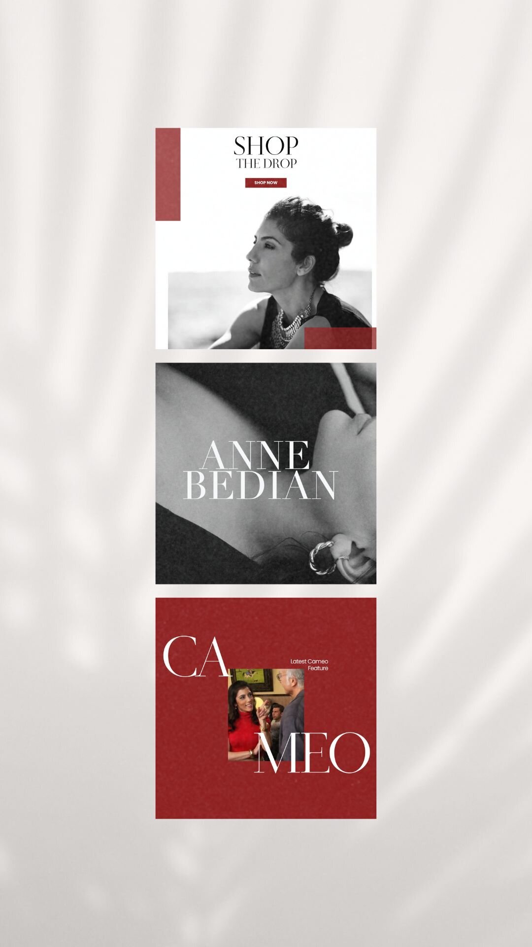 Anne Bedian Branding and Marketing 2