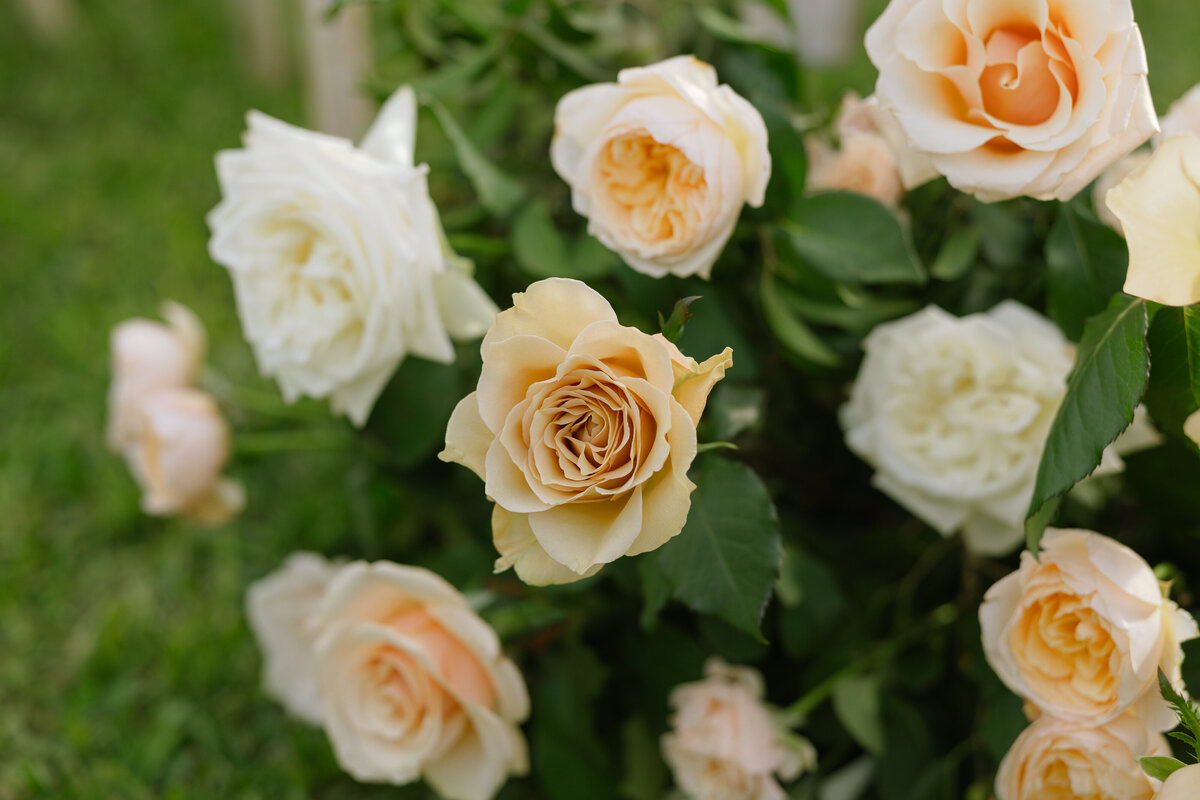 ACRE RESORT WEDDING -56