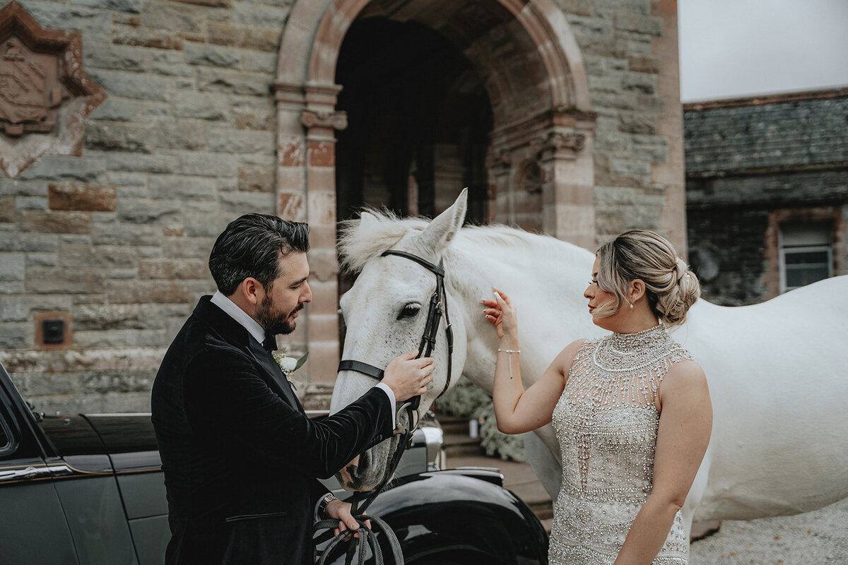 Bride and groom petting white horse