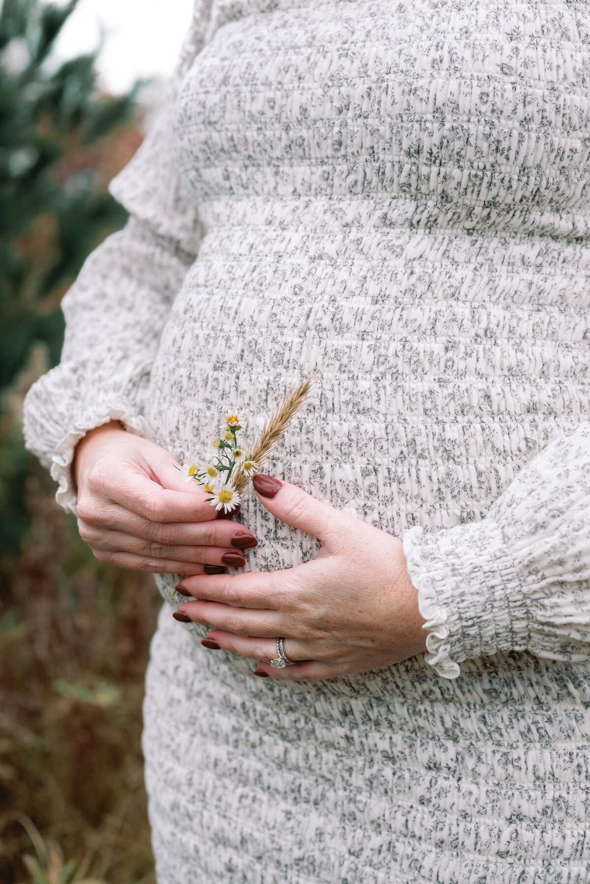 Brooke Lacombe is an Ottawa, Ontario based maternity photographer, specializing in motherhood, maternity, newborn and family fine art photography.