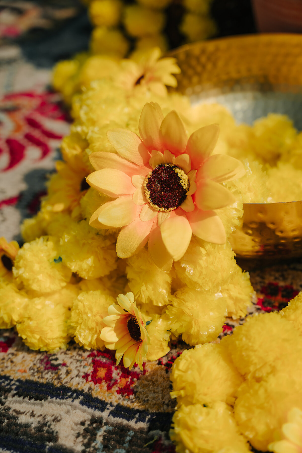 Visuals By Nihal - Shariq Raisa Holud- 2
