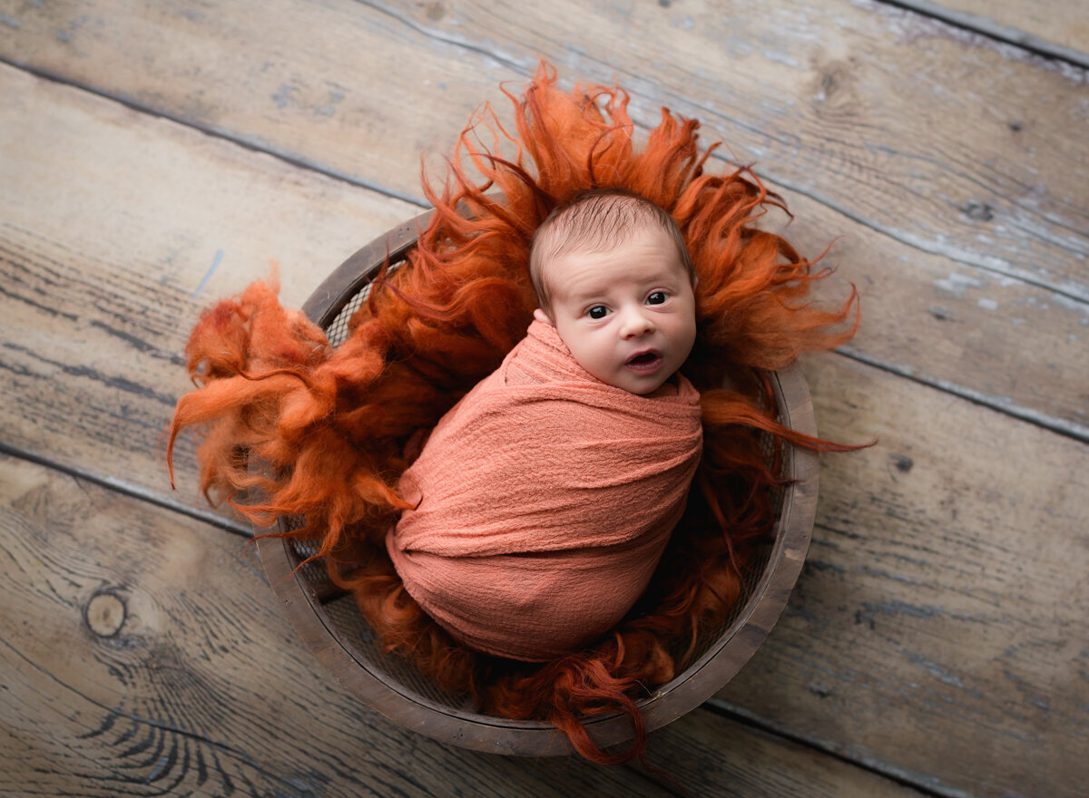 A wide-eyes newborn baby on orange fluff. Photo by Diane Owen.