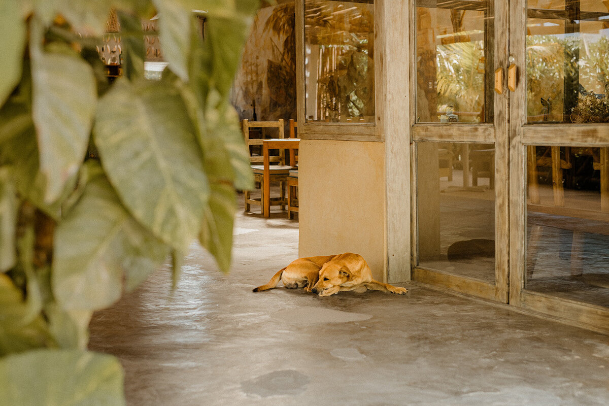 a-mexico-tulum-elopement-villa-pescadora-destination-wedding-getting-ready-couples-session-cool-artsy-edgy-alternative-03