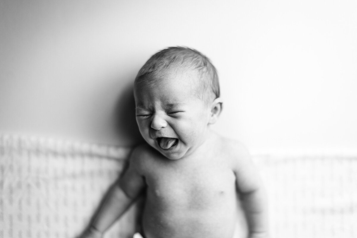 NWA newborn photographer, newborn portraits NW Arkansas