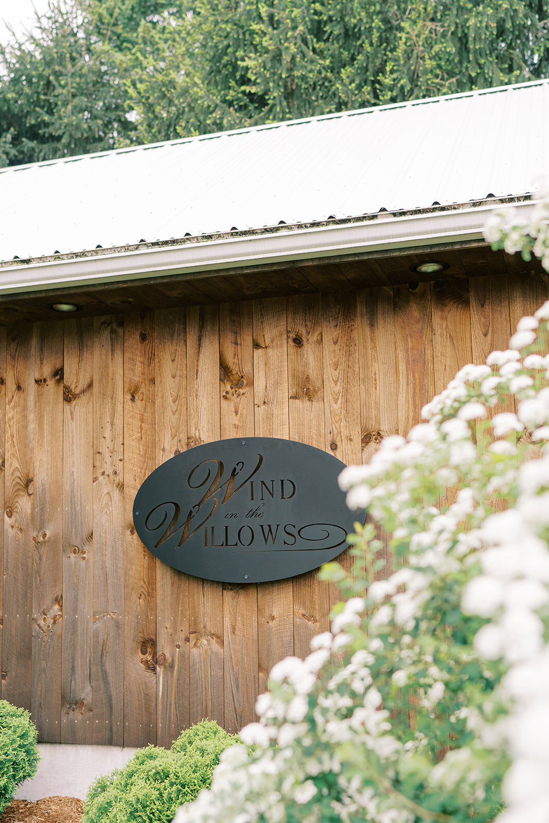 Wind in the Willows Wedding JT-09849