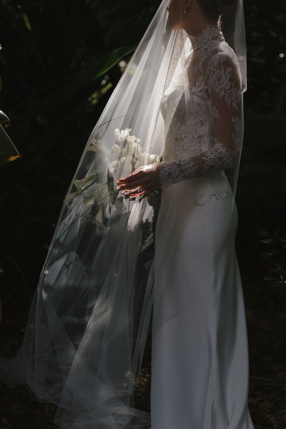 241102LAUTRE_adv-0152