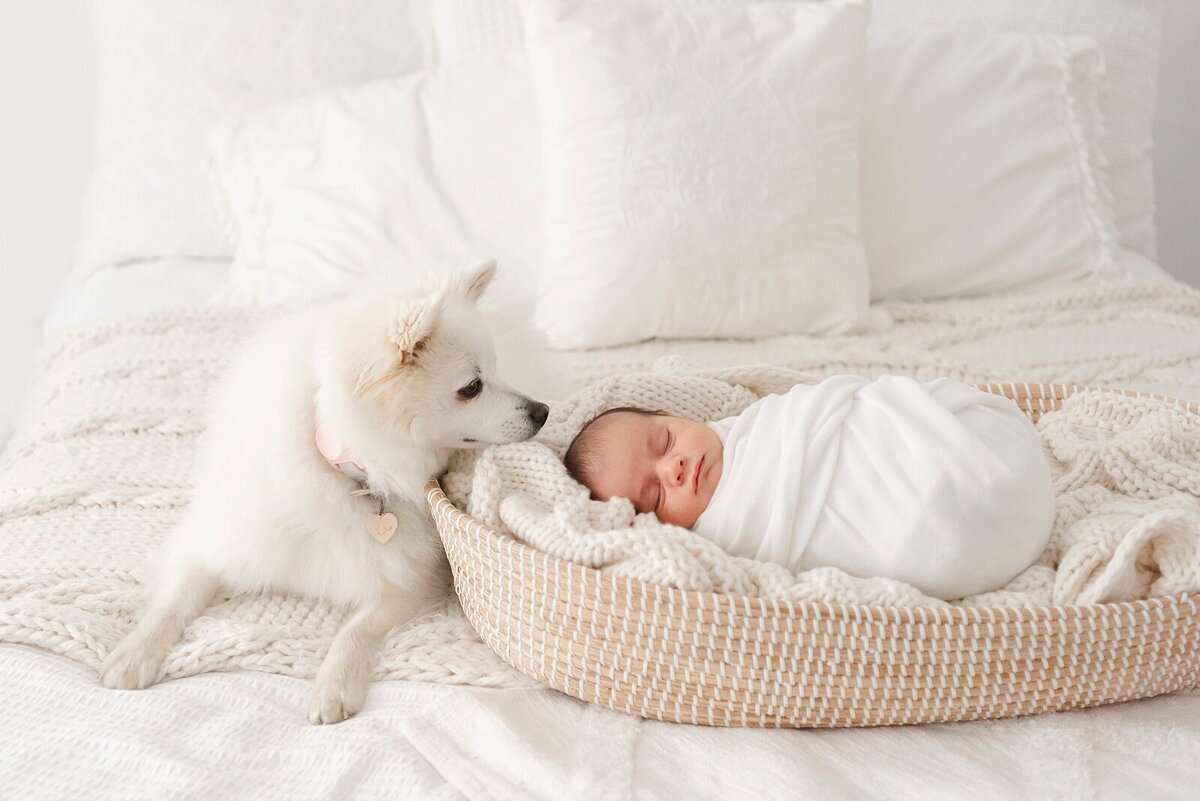 boston_newborn_photography_10494