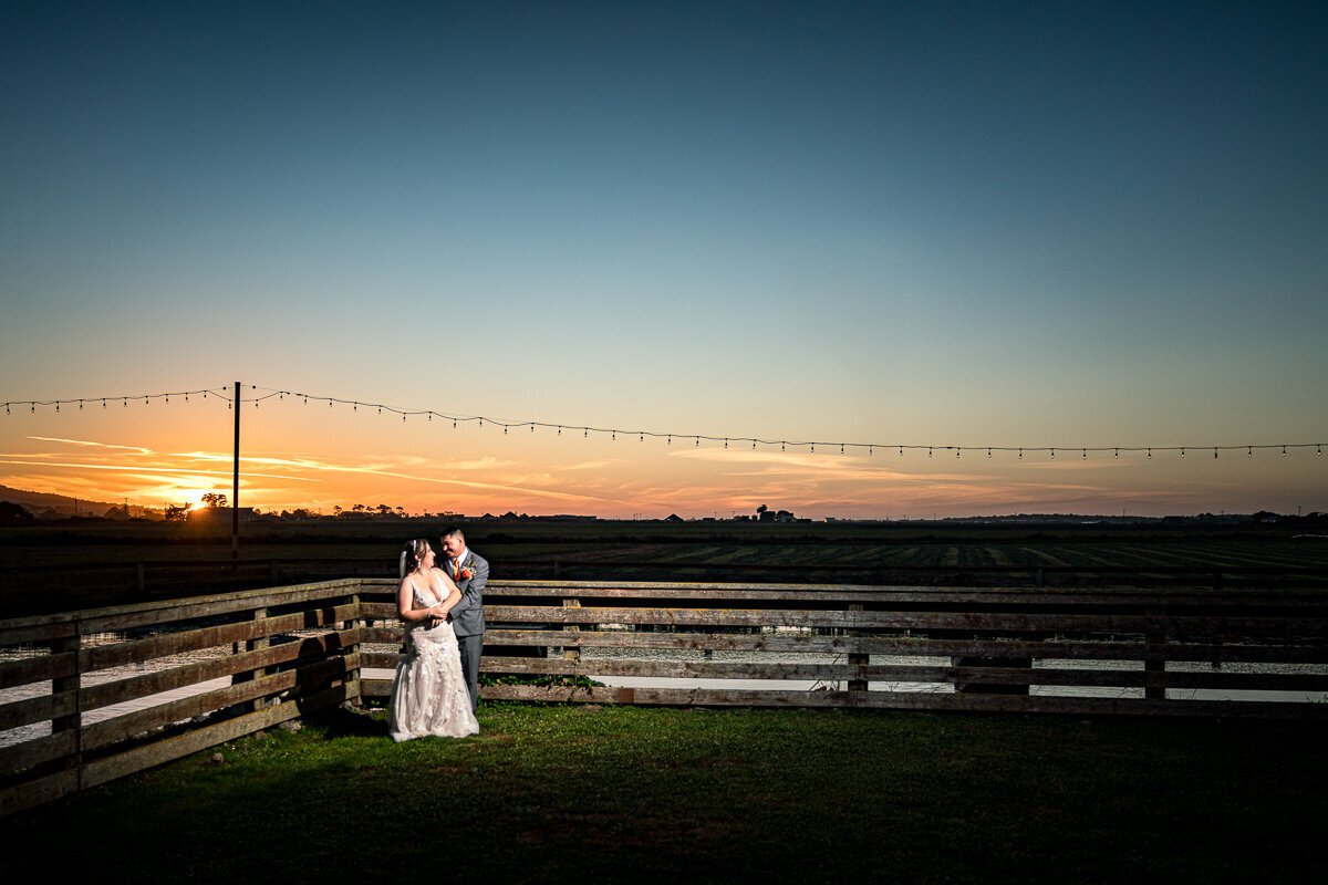 Bride and groom posing for a stunning portrait during a golden sunset at The Barn by Fernbridge in Ferndale, capturing the romantic glow of their wedding day.