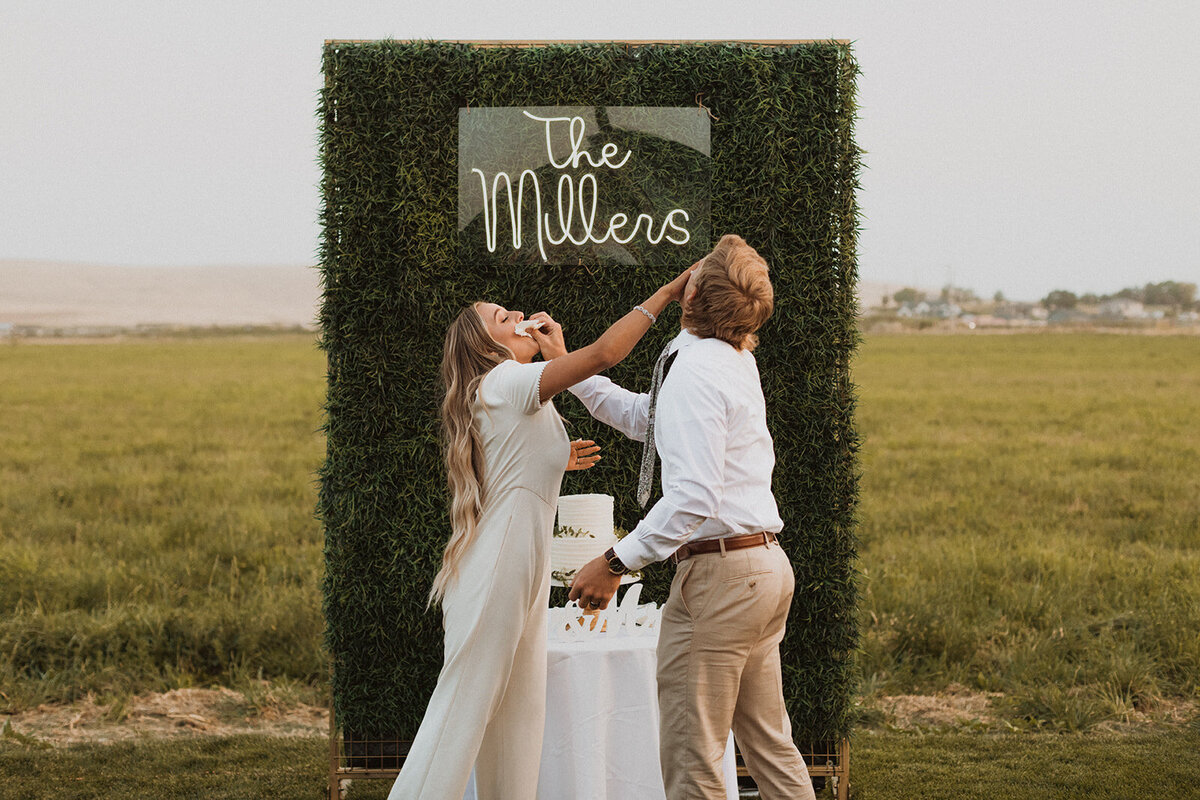 Wedding_Cake_Smash_1