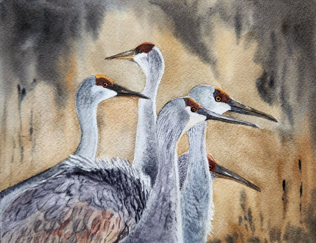 A Gathering of Cranes sold_resized