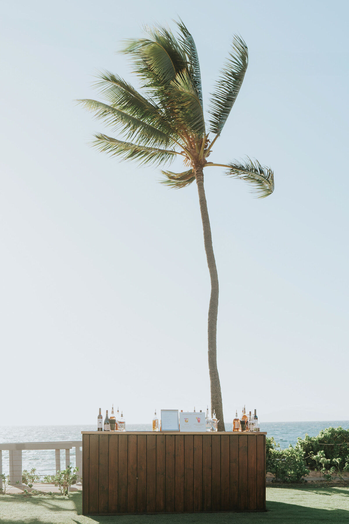 Caitlin-Grace-Aspen-Wedding-Photographer-Destination-Wedding-Photographer-Maui-Photos--Wedding-106
