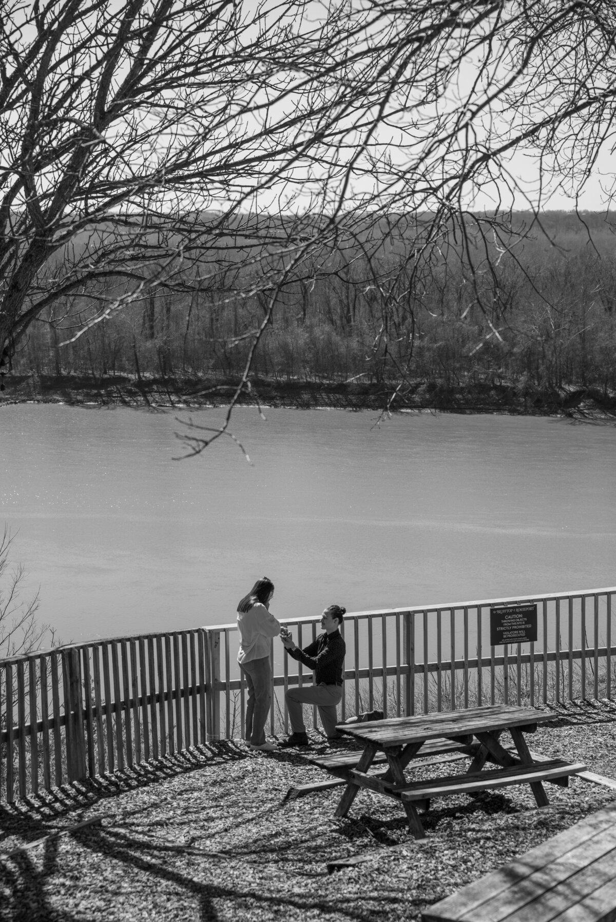 st louis missouri proposal photographer