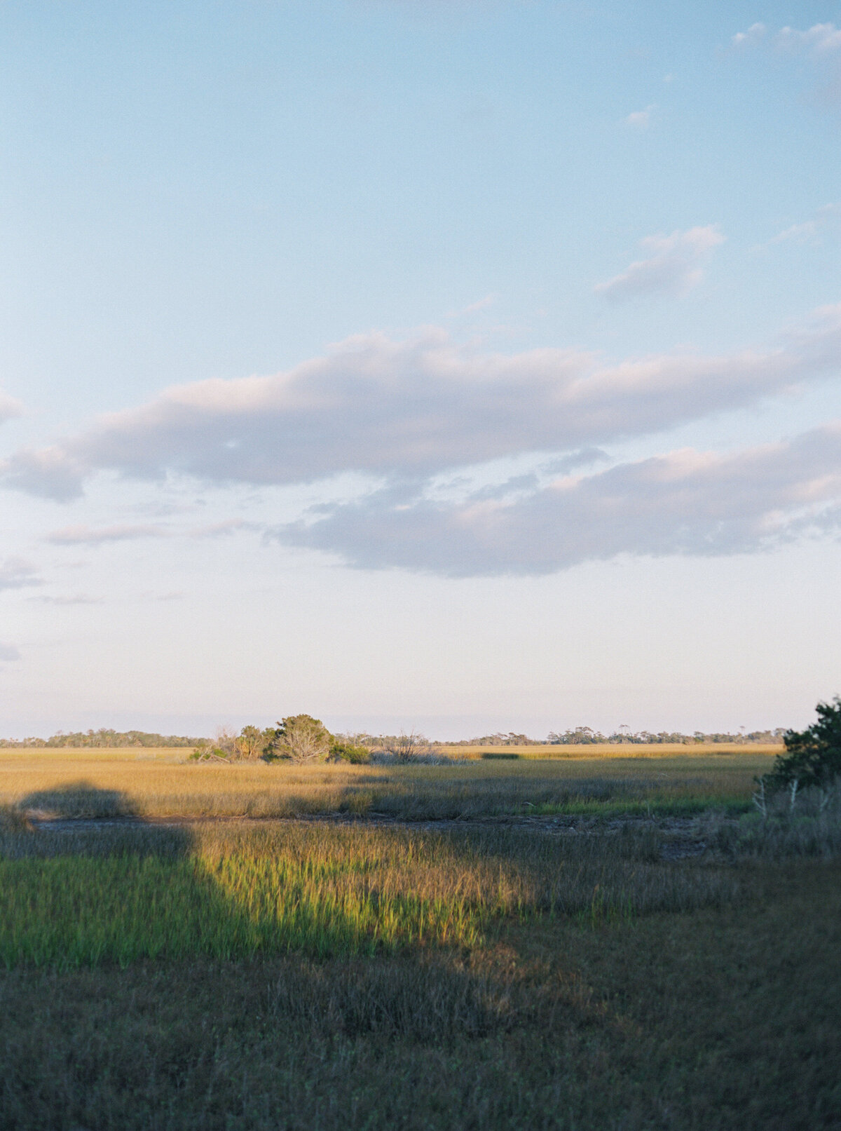 Emily March Photography Wilmington, North Carolina and Destination Wedding Engagement Photographer Heirloom Photography for Memorable Gatherings Light Airy Sentimental Imagery Images Weddings CannonWedding_1417