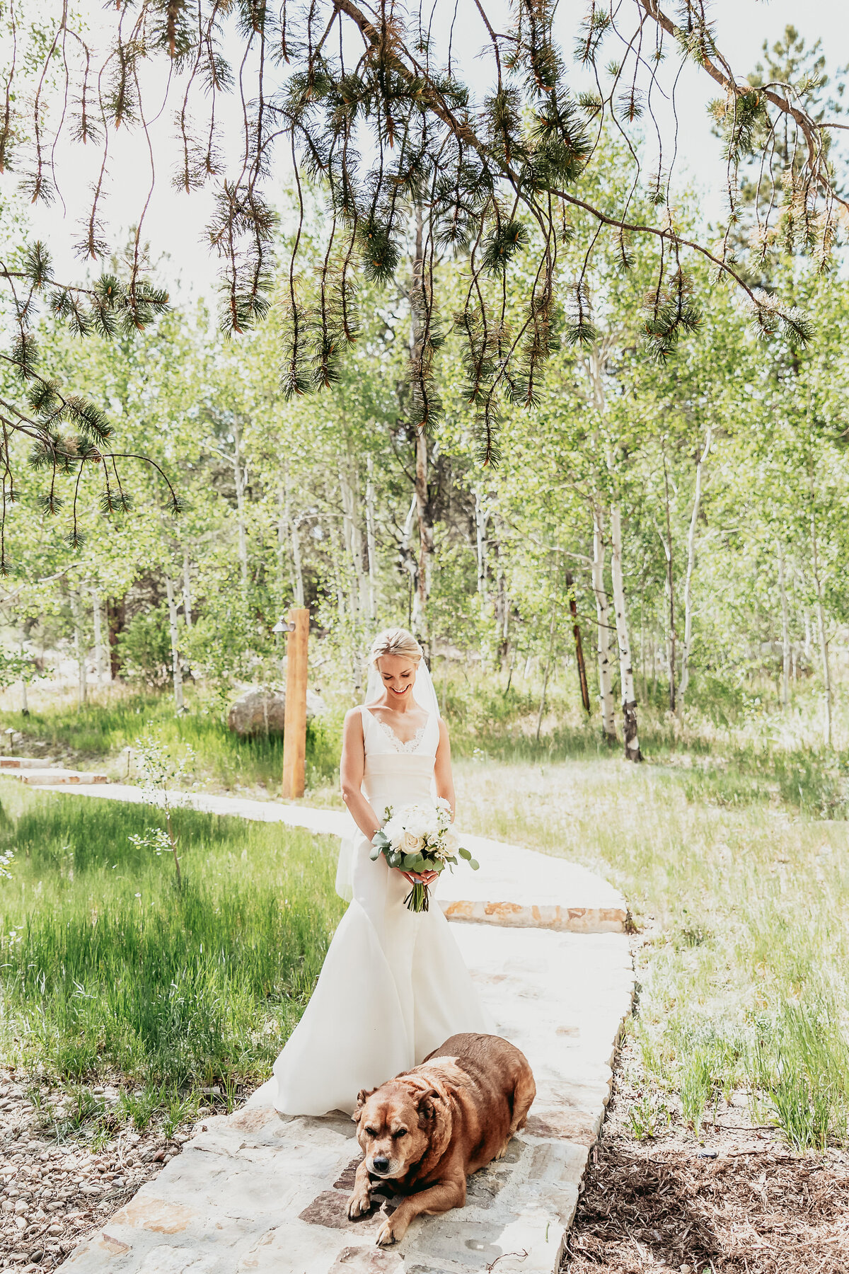 Colorado Mountain Wedding Photography