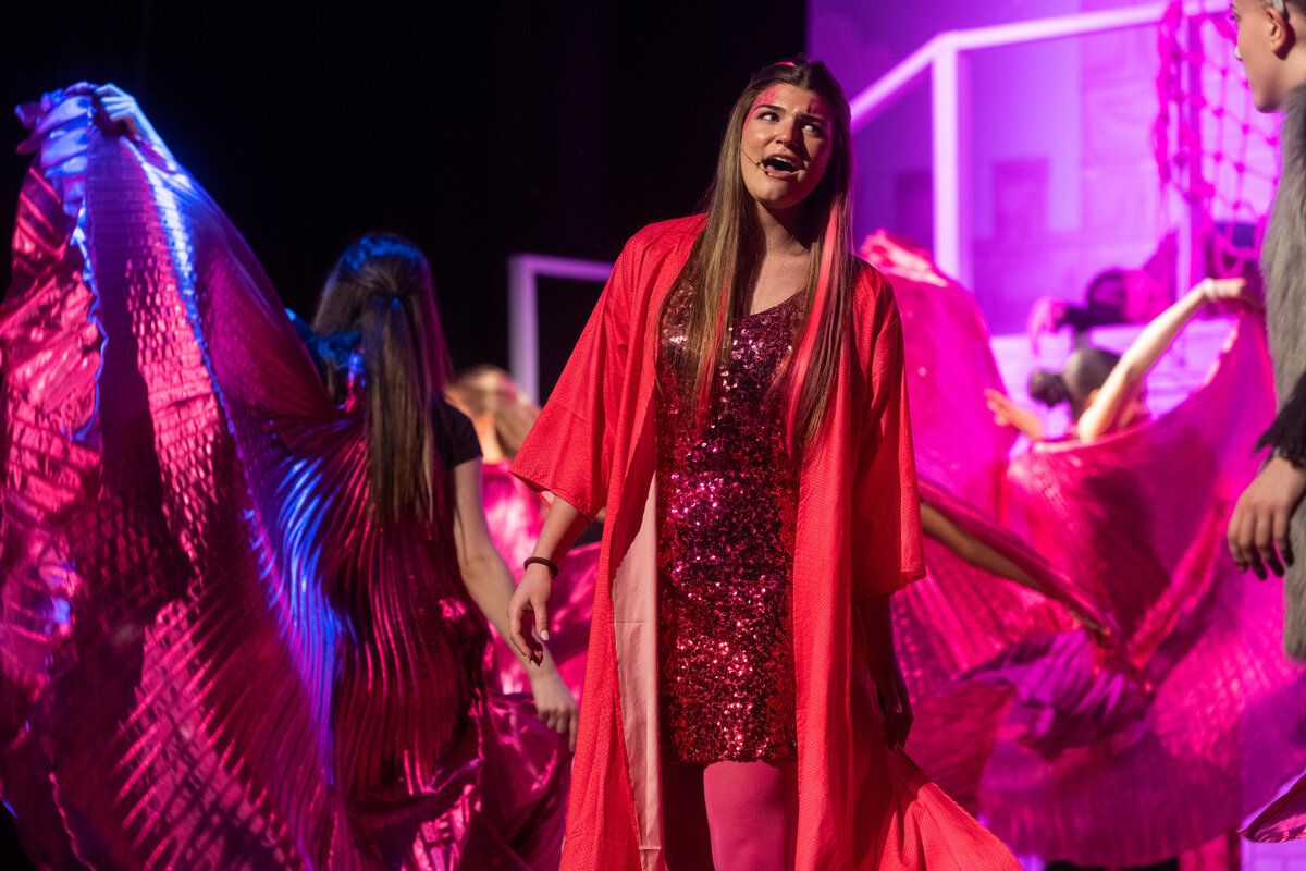 Linnea_Farnsworth_Photography_Washington_DC_Northern_Virginia_Musical_Stage_Photography_3