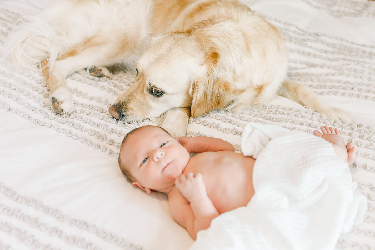 Birmingham-al-Newborn-photographer-Elle-Lovelace-91