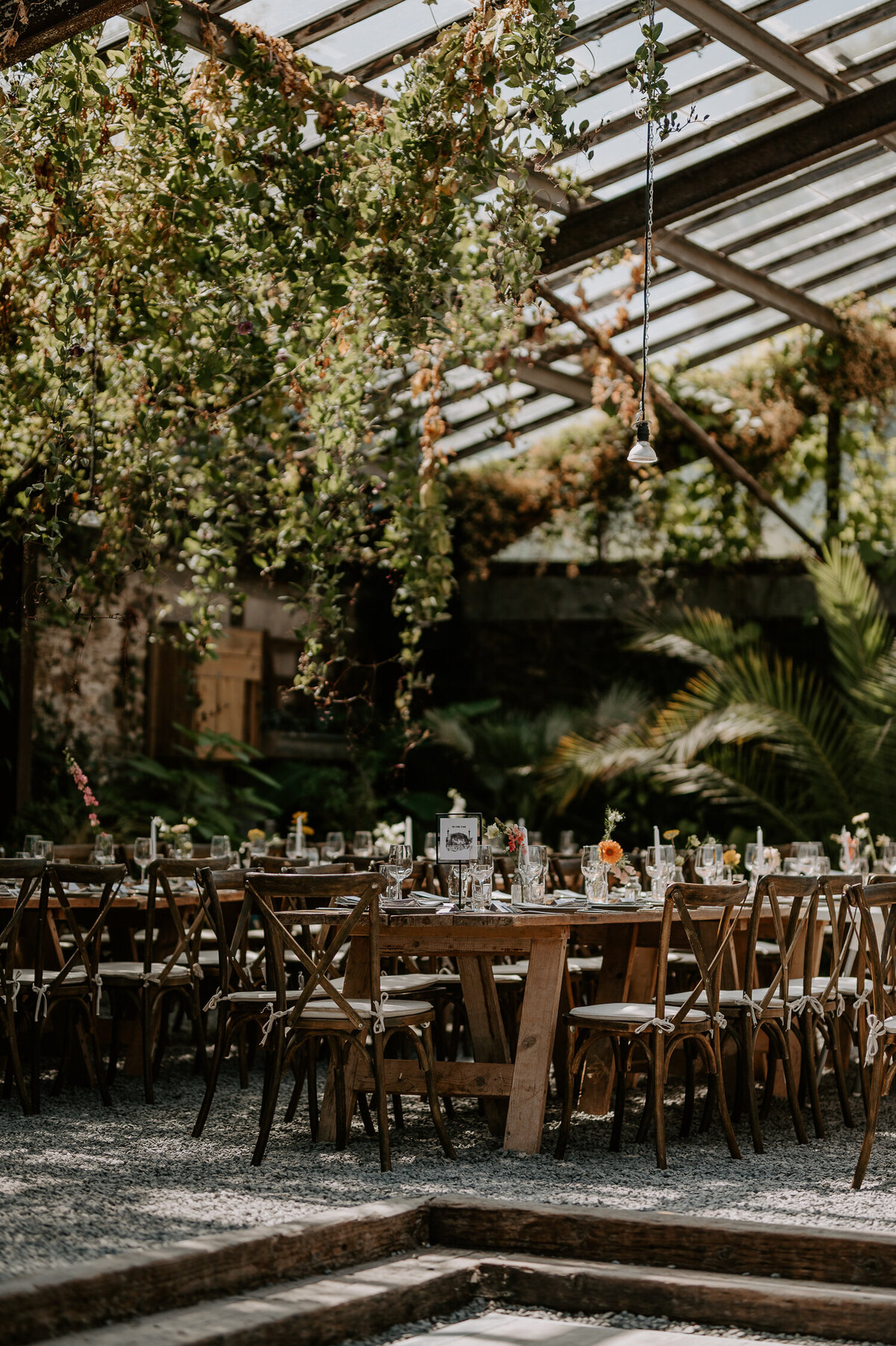 Trestle tables are lined up in the greenhouse at Anran at Tidwell Farm, lots of plants are surrounding the venue that has a real Italian wedding venue vibe.