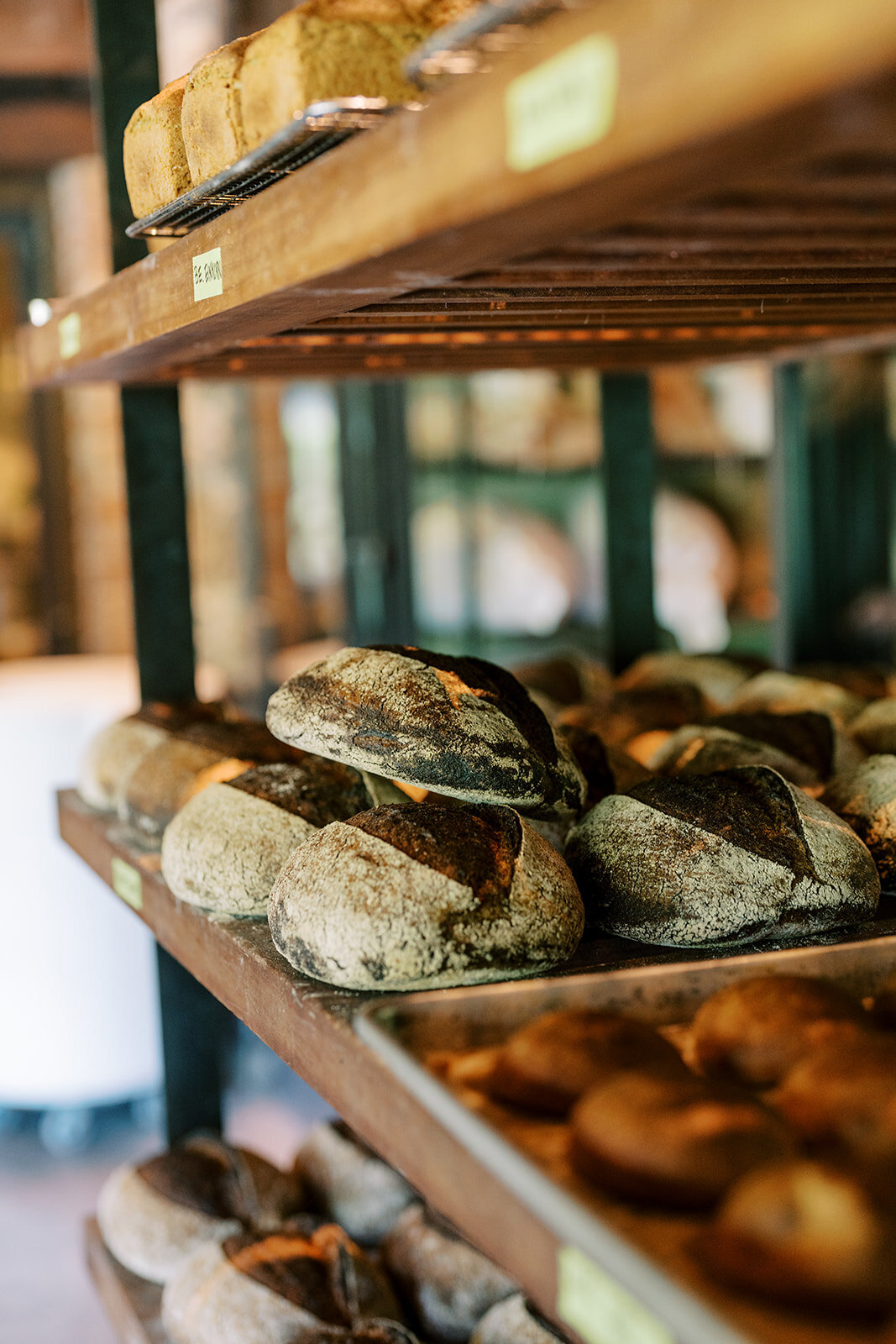 Blue Hill at Stone Barns Destination Wedding Photography