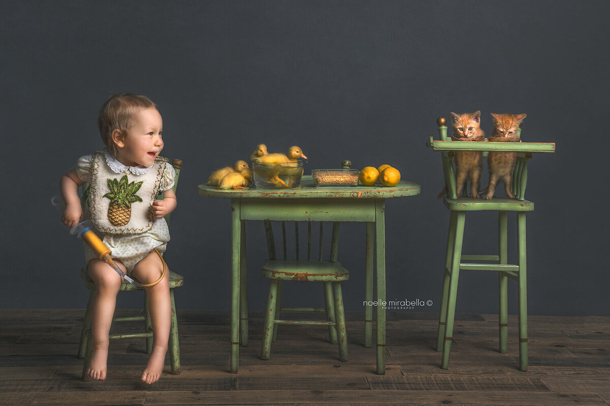 fed is best. Tube fed toddler sitting at table with ducklings and kittens.